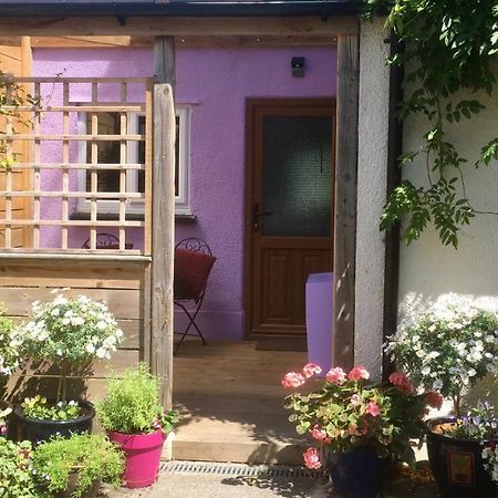 Cute Self-Contained Guest Room With Ensuite And Private Decked Porch In غلاستونبري المظهر الخارجي الصورة